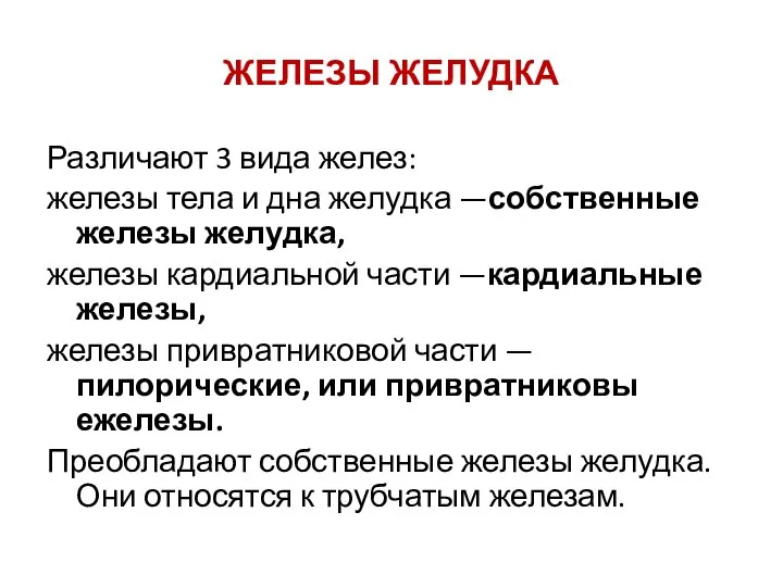 ЖЕЛЕЗЫ ЖЕЛУДКА Различают 3 вида желез: железы тела и дна желудка —собственные