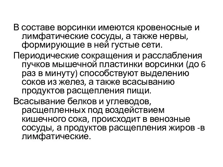 В составе ворсинки имеются кровеносные и лимфатические сосуды, а также нервы, формирующие