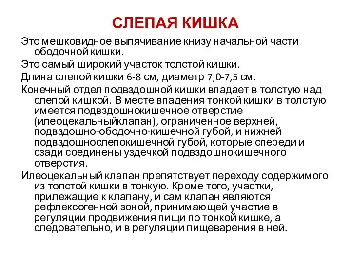 СЛЕПАЯ КИШКА Это мешковидное выпячивание книзу начальной части ободочной кишки. Это самый