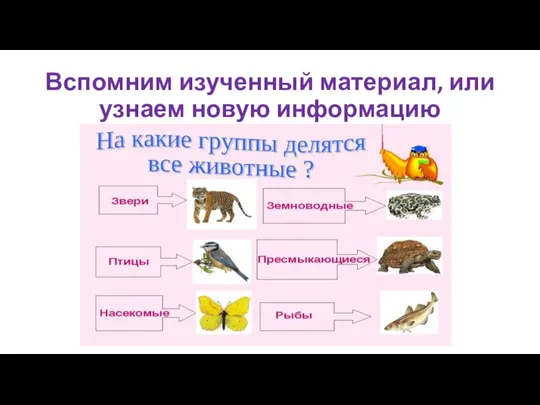 Вспомним изученный материал, или узнаем новую информацию