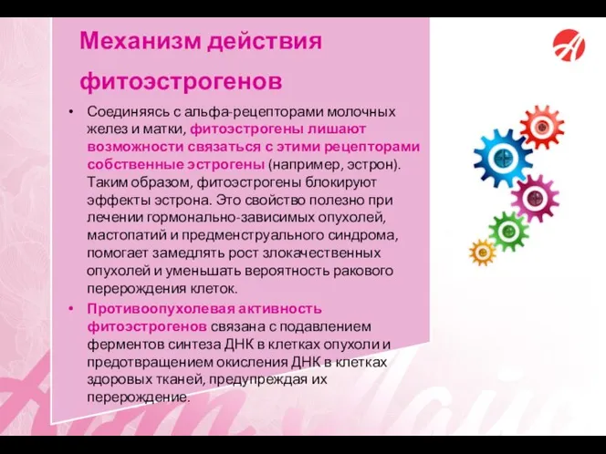 Механизм действия фитоэстрогенов Соединяясь с альфа-рецепторами молочных желез и матки, фитоэстрогены лишают