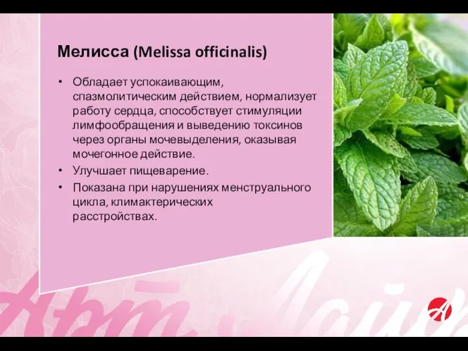 Обладает успокаивающим, спазмолитическим действием, нормализует работу сердца, способствует стимуляции лимфообращения и выведению