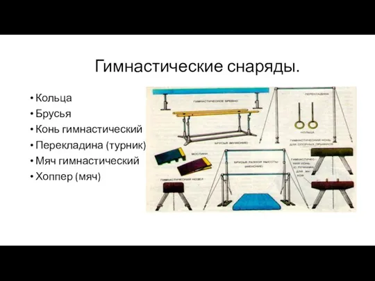 Гимнастические снаряды. Кольца Брусья Конь гимнастический Перекладина (турник) Мяч гимнастический Хоппер (мяч)