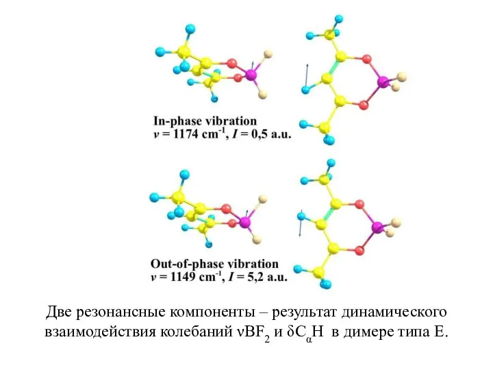 Две резонансные компоненты – результат динамического взаимодействия колебаний νBF2 и δСαН в димере типа Е.