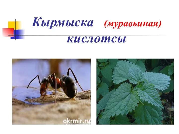 Кырмыска (муравьиная) кислотсы