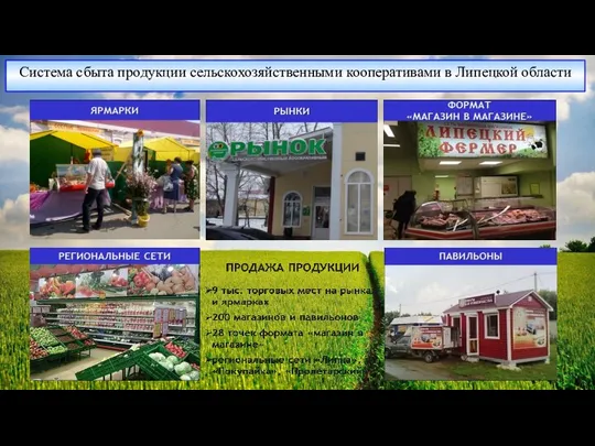 Система сбыта продукции сельскохозяйственными кооперативами в Липецкой области