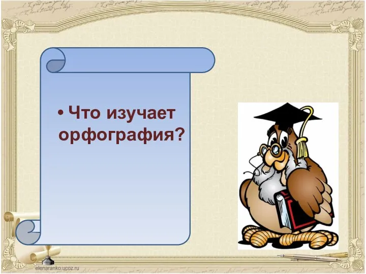 Что изучает орфография?