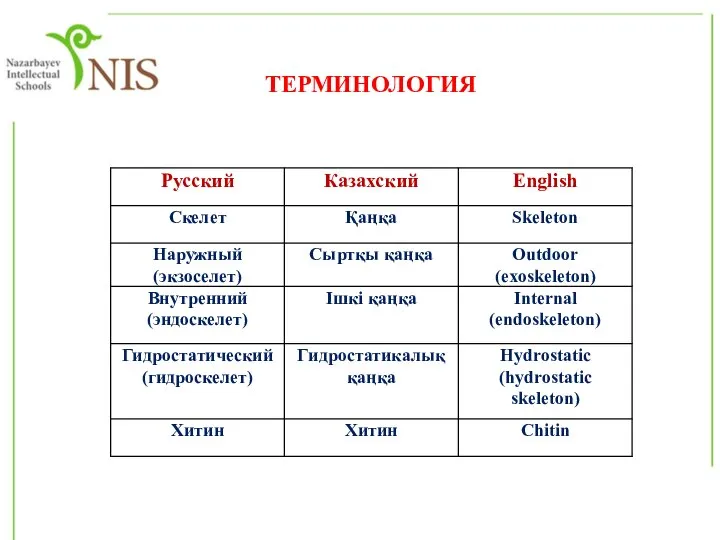 ТЕРМИНОЛОГИЯ