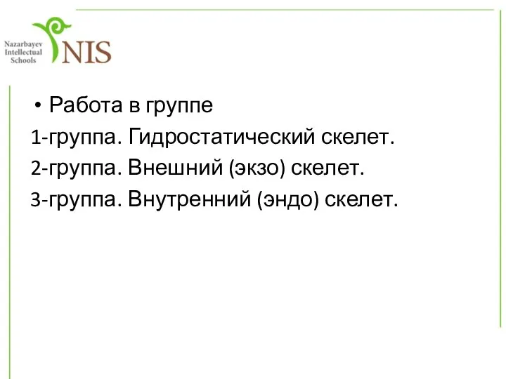 Работа в группе 1-группа. Гидростатический скелет. 2-группа. Внешний (экзо) скелет. 3-группа. Внутренний (эндо) скелет.