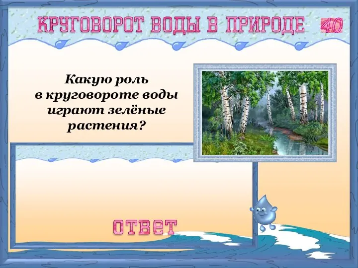 Они поглощают воду из почвы и испаряют её через листья в атмосферу.