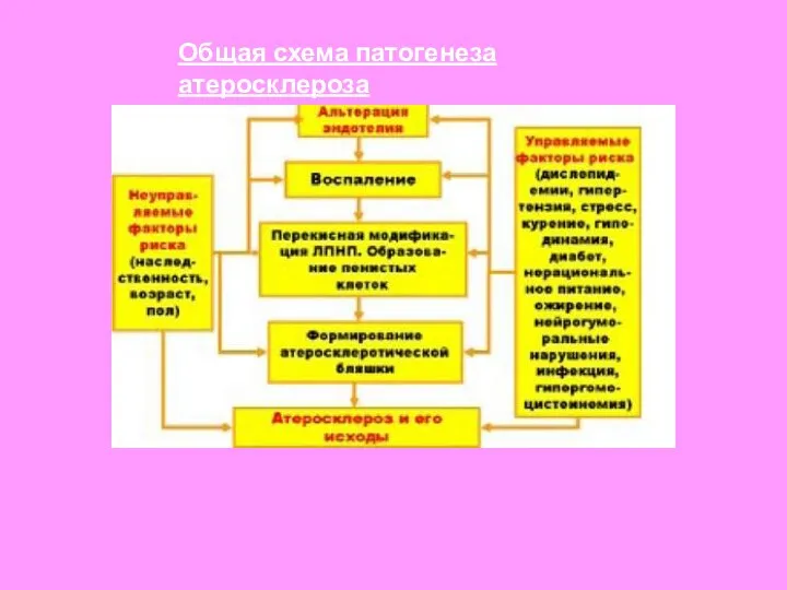 Общая схема патогенеза атеросклероза