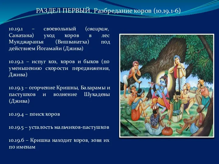 10.19.1 – своевольный (сваирам, Санатана) уход коров в лес Мунджаранья (Вишванатха) под