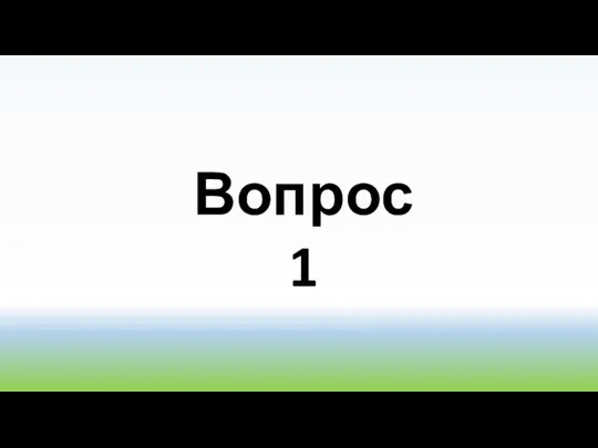 Вопрос 1