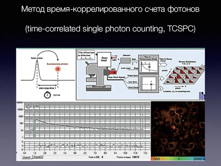 Метод время-коррелированного счета фотонов (time-correlated single photon counting, TCSPC)