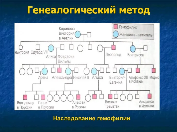 Генеалогический метод Наследование гемофилии