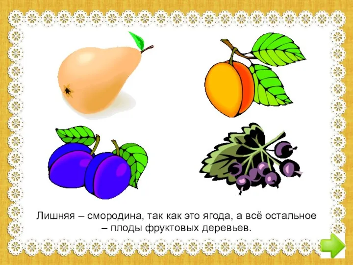 Лишняя – смородина, так как это ягода, а всё остальное – плоды фруктовых деревьев.