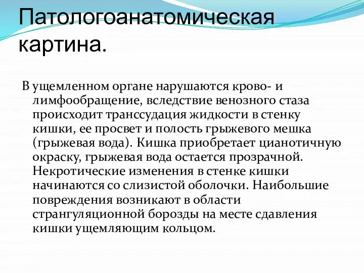 Патологоанатомическая картина. В ущемленном органе нарушаются крово- и лимфообращение, вследствие венозного стаза