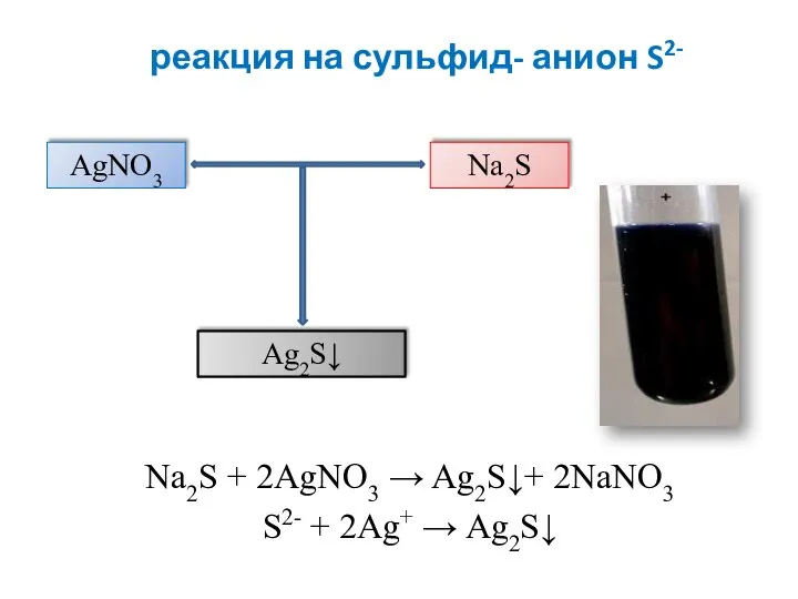 реакция на сульфид- анион S2- Na2S + 2AgNO3 → Ag2S↓+ 2NaNO3 S2-