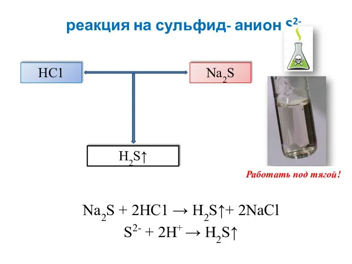 реакция на сульфид- анион S2- Na2S + 2HC1 → H2S↑+ 2NaCl S2-