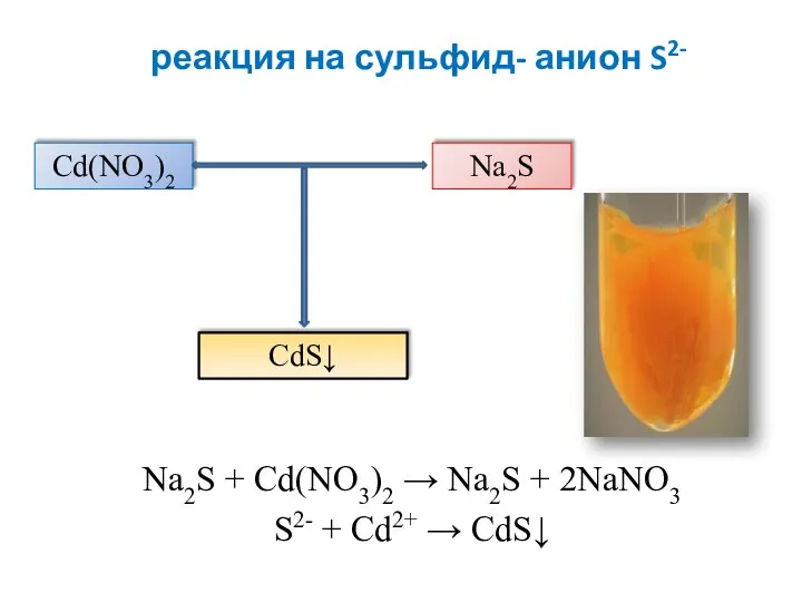 реакция на сульфид- анион S2- Na2S + Cd(NO3)2 → Na2S + 2NaNO3