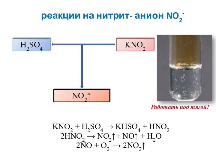 реакции на нитрит- анион NO2- KNO2 + H2SO4 → KHSO4 + HNO2