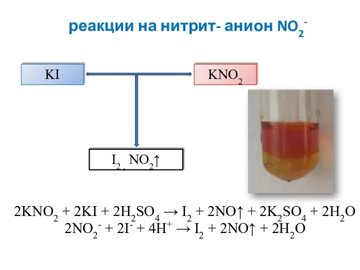 реакции на нитрит- анион NO2- 2KNO2 + 2KI + 2H2SO4 → I2