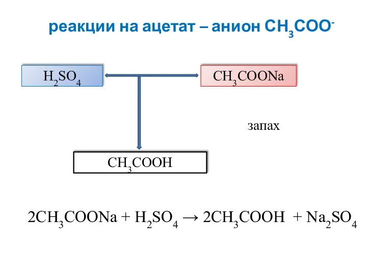 реакции на ацетат – анион СН3СОО- H2SO4 CH3COONa CH3COOH 2CH3COONa + H2SO4