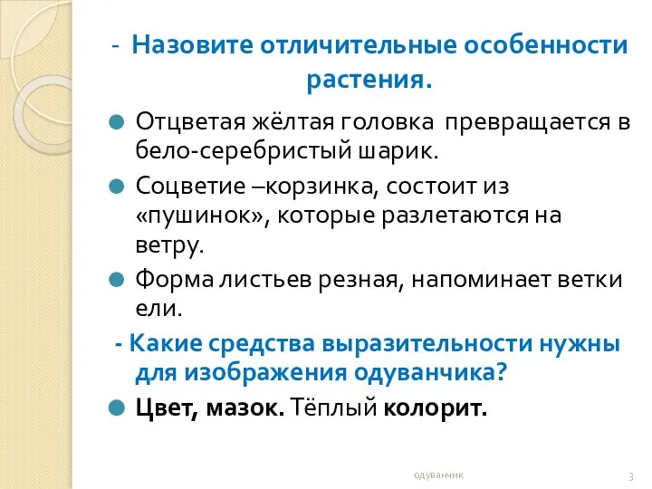 - Назовите отличительные особенности растения. Отцветая жёлтая головка превращается в бело-серебристый шарик.