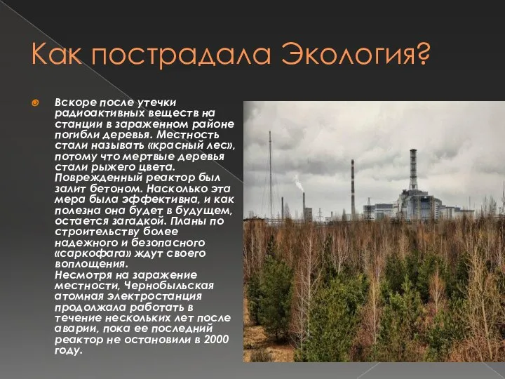 Как пострадала Экология? Вскоре после утечки радиоактивных веществ на станции в зараженном