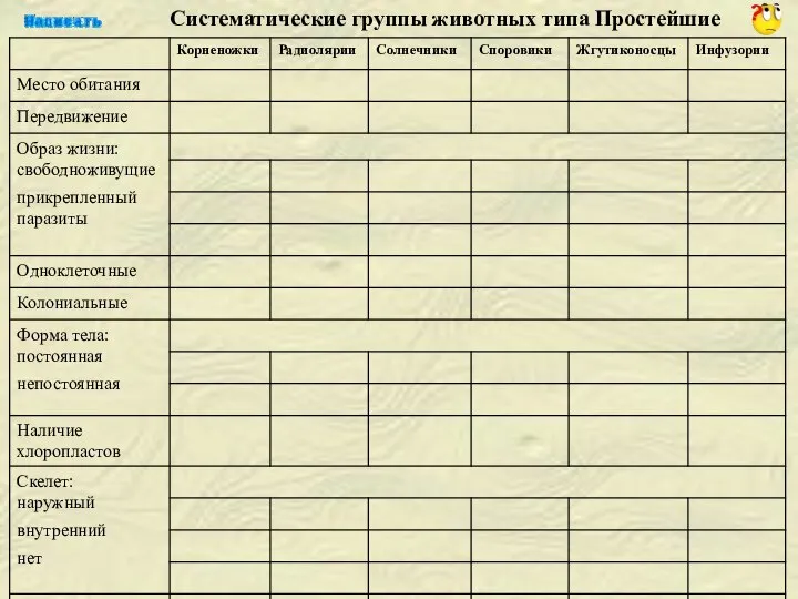 Систематические группы животных типа Простейшие