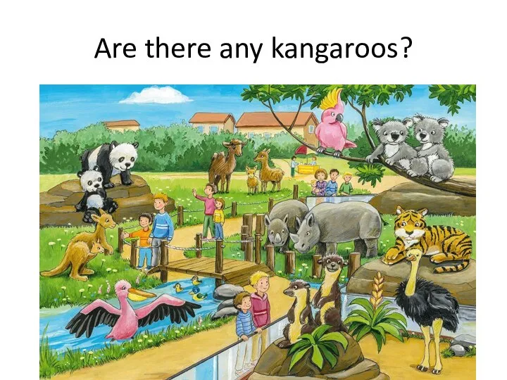 Are there any kangaroos?
