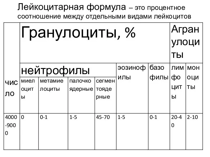 Лейкоцитарная формула – это процентное соотношение между отдельными видами лейкоцитов