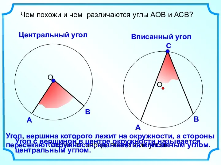 Чем похожи и чем различаются углы АОВ и АСВ? Центральный угол Вписанный