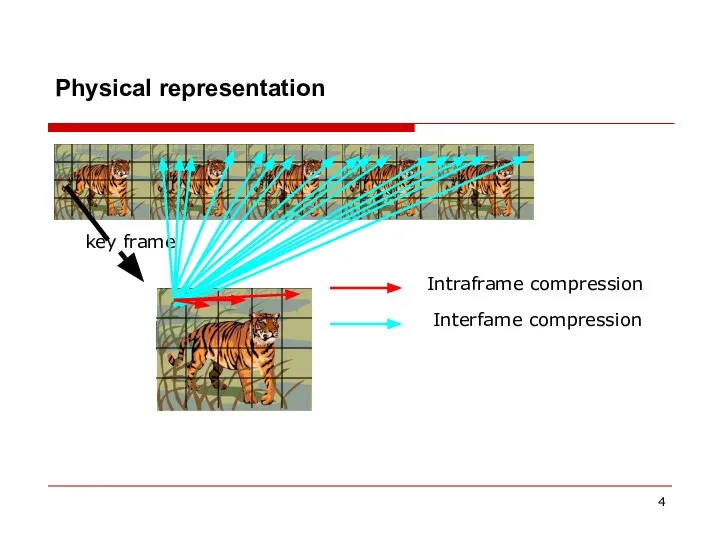Physical representation key frame Intraframe compression Interfame compression