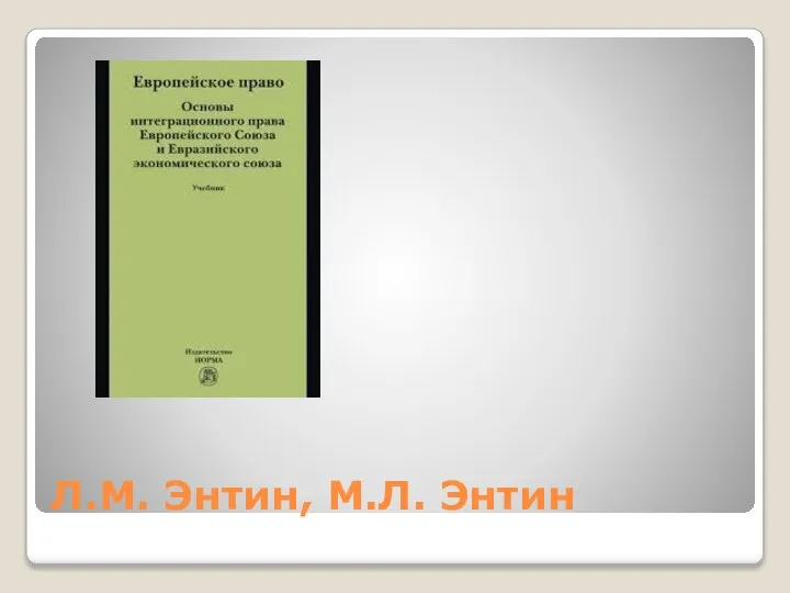 Л.М. Энтин, М.Л. Энтин