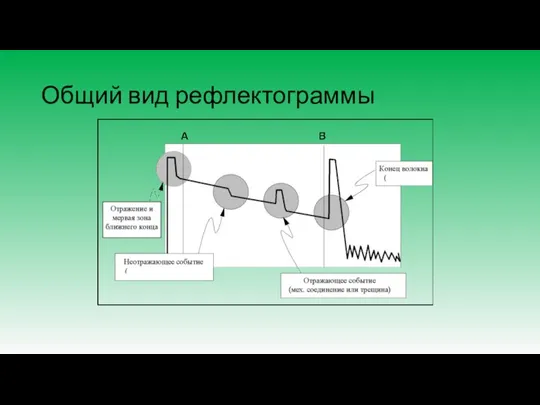 Общий вид рефлектограммы