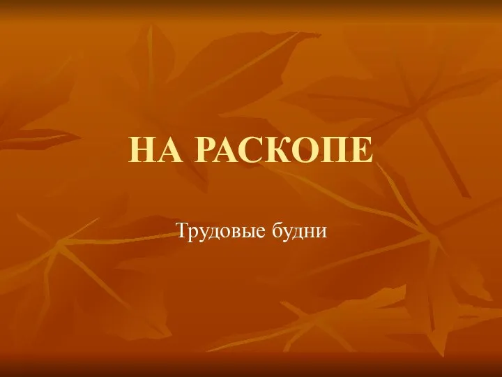 НА РАСКОПЕ Трудовые будни