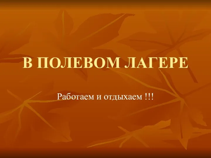 В ПОЛЕВОМ ЛАГЕРЕ Работаем и отдыхаем !!!