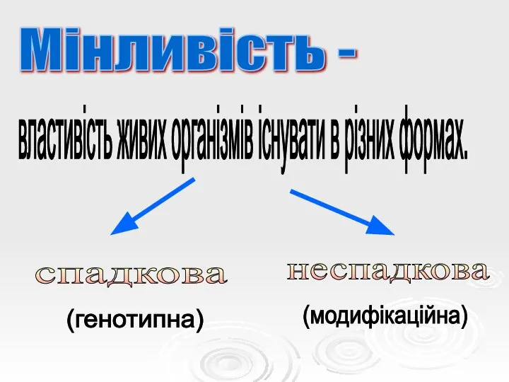 Мінливість - властивість живих організмів існувати в різних формах. спадкова неспадкова (генотипна) (модифікаційна)