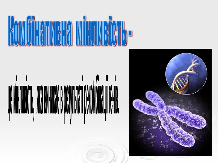 Комбінативна мінливість - це мінливість, яка виникає в результаті рекомбінації генів.