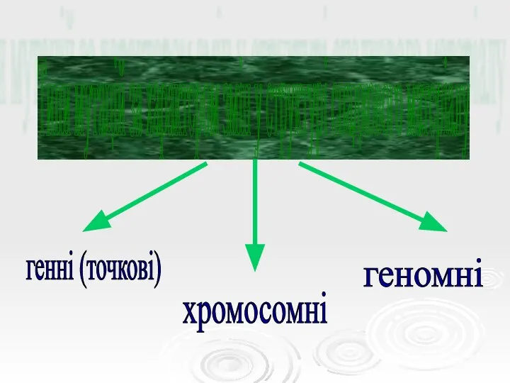 Типи мутацій за характером змін у структурі спадкового матеріалу генні (точкові) хромосомні геномні