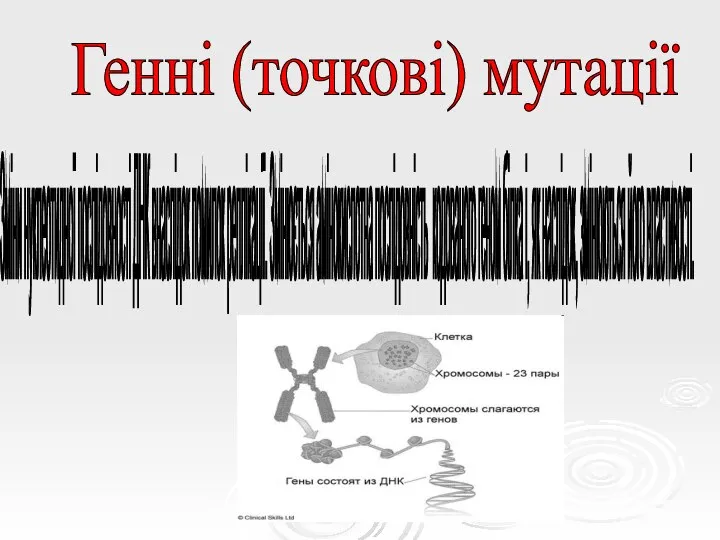 Генні (точкові) мутації Зміни нуклеотидної послідовності ДНК внаслідок помилок реплікації. Змінюється амінокислотна