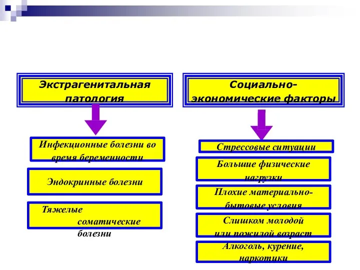 Экстрагенитальная патология Инфекционные болезни во время беременности Эндокринные болезни Тяжелые соматические болезни