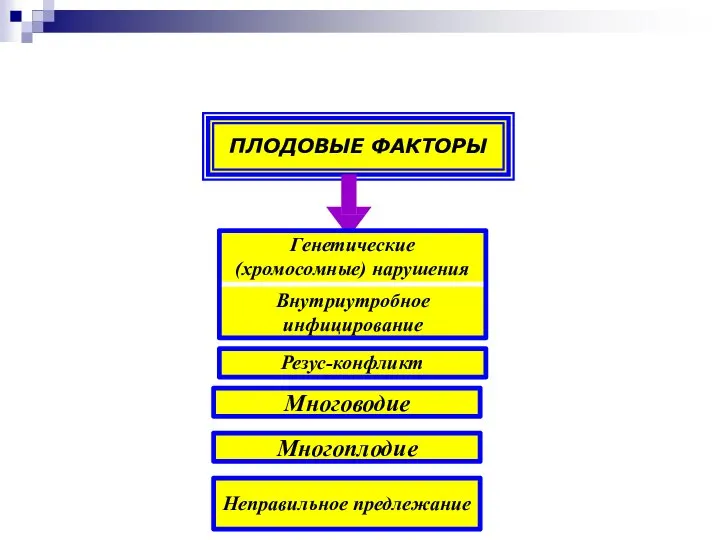 ПЛОДОВЫЕ ФАКТОРЫ Многоплодие Неправильное предлежание Резус-конфликт Многоводие Генетические (хромосомные) нарушения Внутриутробное инфицирование