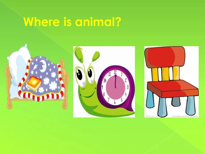 Where is animal?