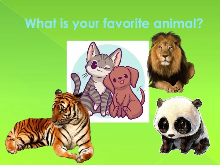 What is your favorite animal?