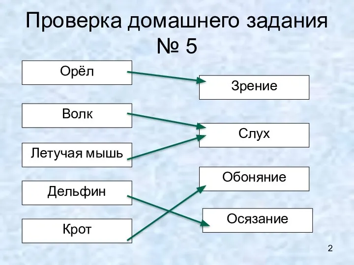 Проверка домашнего задания № 5