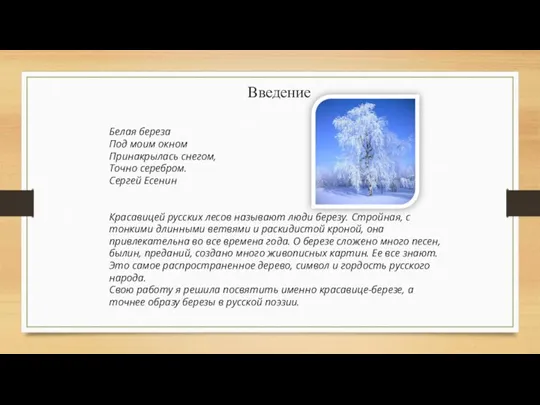 Введение Белая береза Под моим окном Принакрылась снегом, Точно серебром. Сергей Есенин