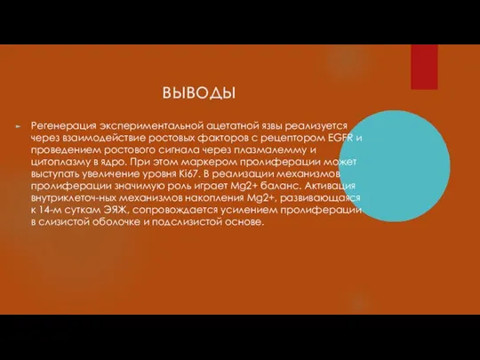 выводы Регенерация экспериментальной ацетатной язвы реализуется через взаимодействие ростовых факторов с рецептором