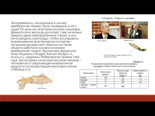 Эксперименты, положенные в основу мембранной теории, были проведены в 40-х годах ХХ